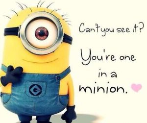 "You're One in a Minion" Twinkie Valentines Day Craft