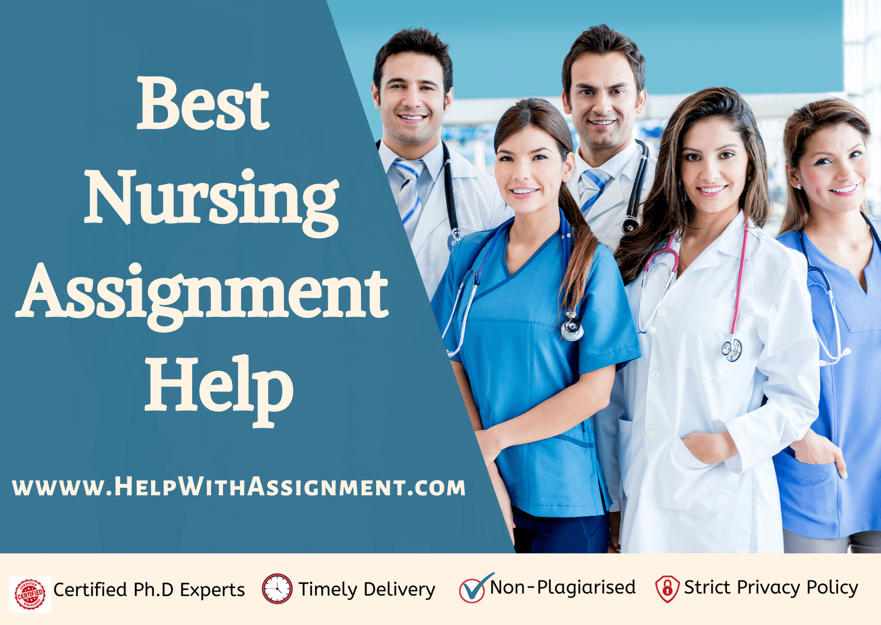 best nursing assignment