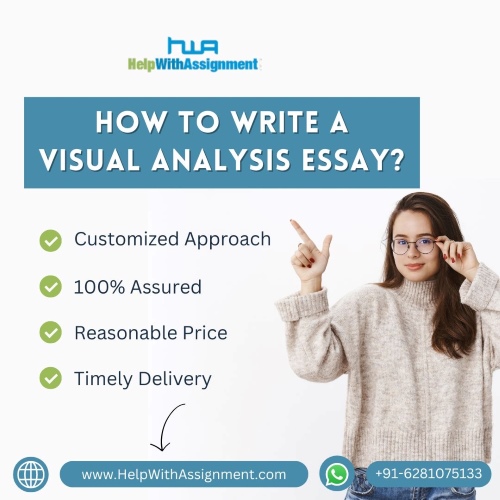 visual analysis essay